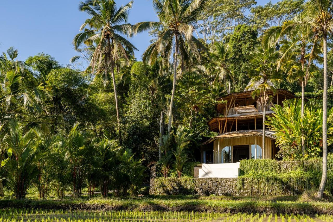 Eco Six Bali Hotel Tampaksiring Exterior photo